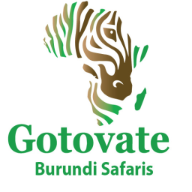 Gotovate