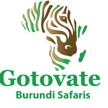 cropped-gotovate-burundi.png